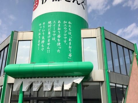 伊都きんぐ工場店