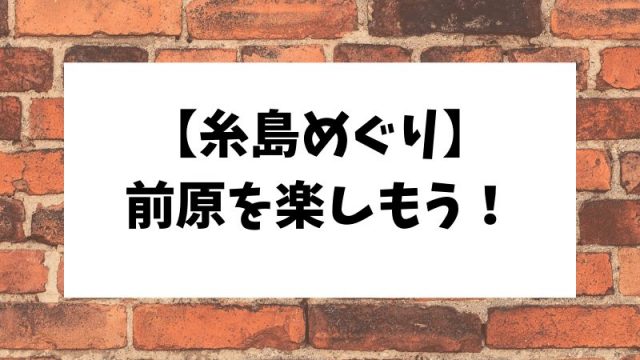 糸島前原で遊ぶ