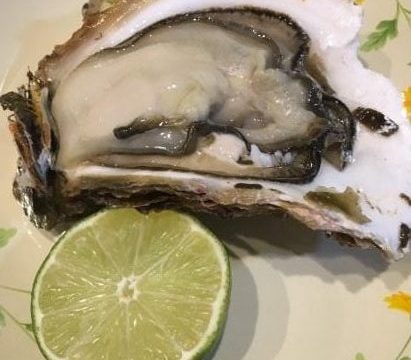 糸島の岩牡蠣とライム