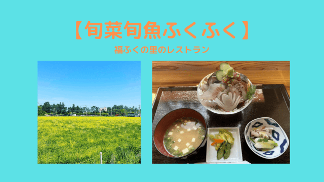 旬菜旬魚ふくふく 福ふくの里のレストランで菜の花ランチ コスパ抜群の定食を楽しもう 糸島観光おすすめブログ