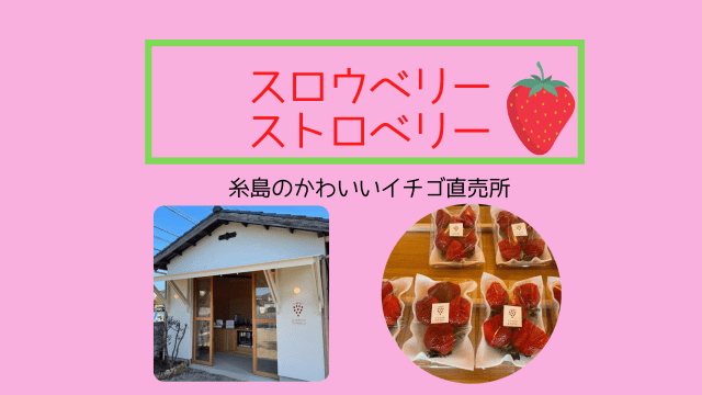 Slowberry スロウベリーストロベリーslowberry strowberry|糸島おすすめのイチゴ直売所がかわいい!|糸島観光おすすめブログ