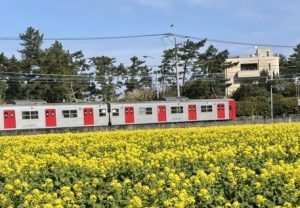 糸島の電車