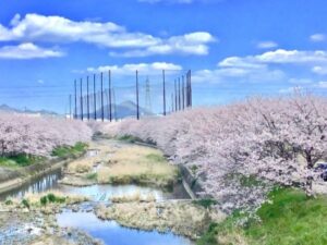 瑞梅寺川の池田川沿いの画像